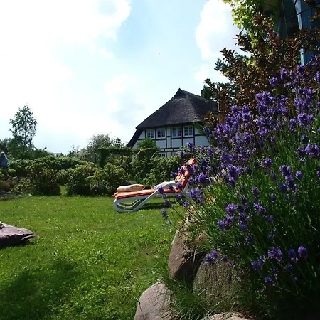 Reethaus Seewind Apartamento Baabe